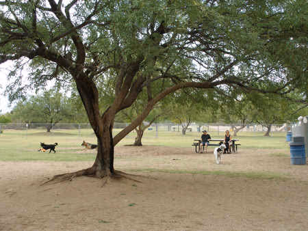 Dog Park at McDonald Park photo 1